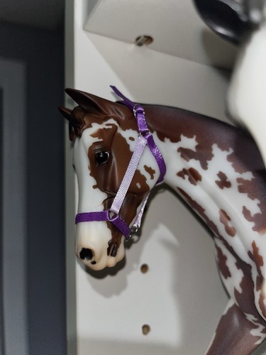 Dark and light purple - , model