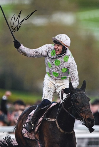 Horse racing paul townend - -,