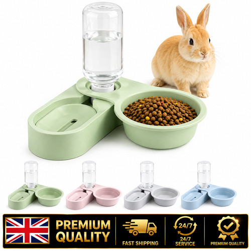 Rabbit guinea pig chinchilla - pig,