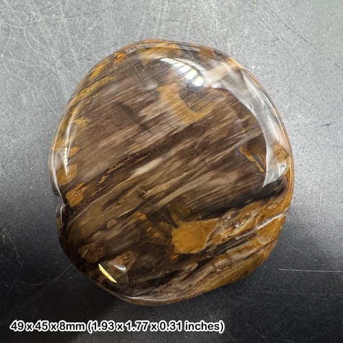 Fossil wood worry stone - stone, palm