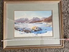 watercolour paintings framed