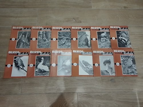 Birds illustrated monthly - illustrated, monthly"