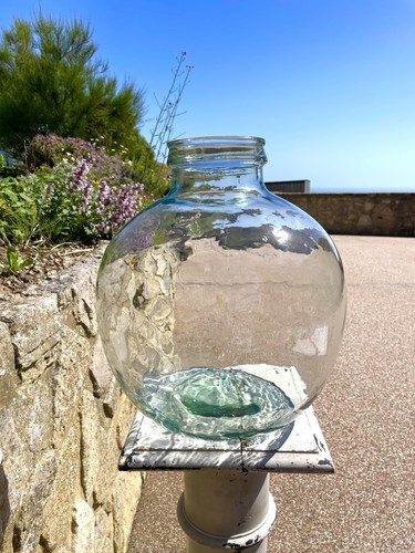 Vintage glass carboy terrarium - glass,