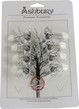 Ashbury F-STYLE MANDOLIN