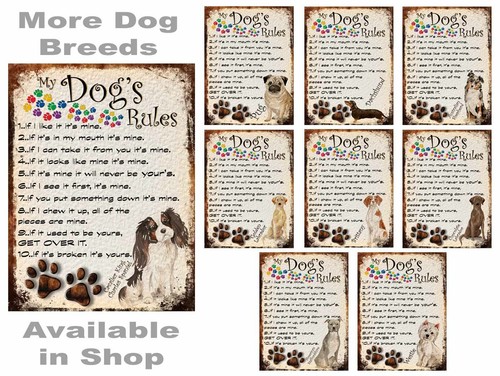 Dogs rules metal sign funny - rules,