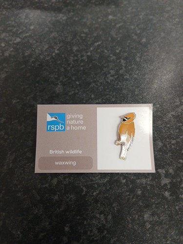 Rspb waxwing pin badge grey - rspb,