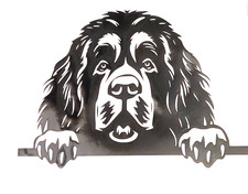 1x Tibetan Mastiff Dog Decal