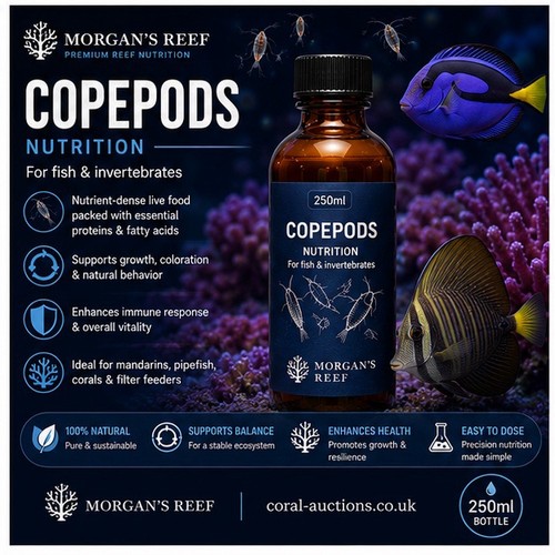 Copepods tigriopus 250ml - copepods,