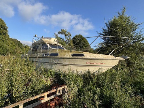 Barn find abandoned sealine - find,