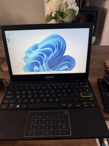 Asus e210m 6in laptop - asus, 11.6in