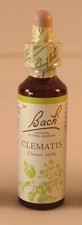 Bach Flower Remedies, Clematis