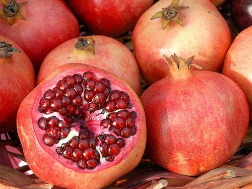 Pomegranate collection punica - pomegranate,