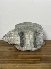 Prehistoric Animal Whale