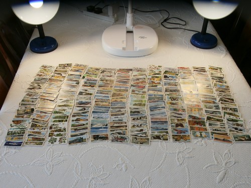 Vintage picture tea - picture,