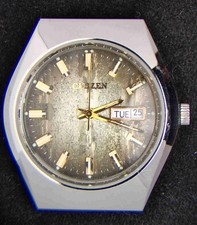 Citizen Snowflake Men's