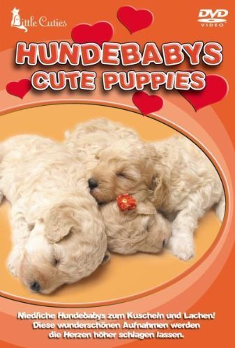 Cute puppies dvd value - [dvd],