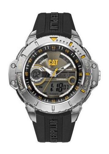 Cat watches men anadigit - cat,