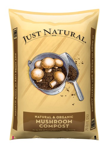 Just natural organic mushroom - natural,