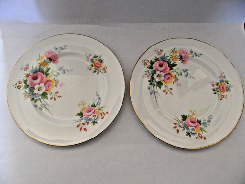 Roslyn fine bone china tea - fine,