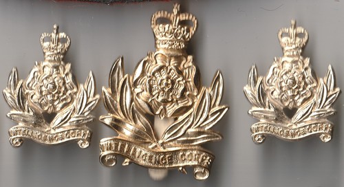 Intelligence corps anodised - intelligence, :
