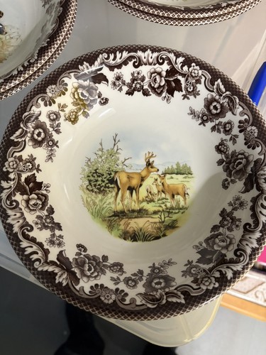 Spode woodland mule deer - spode,