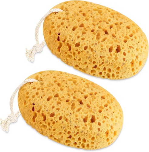 Natural honeycomb sea - 2,