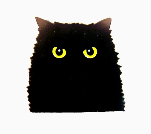 Beautiful large black cat - a,