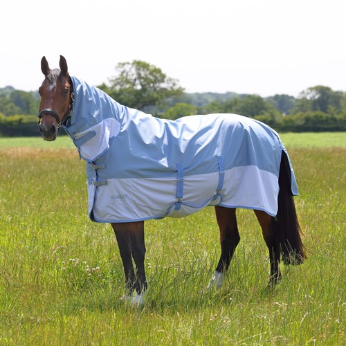 Shires tempest original - shires,