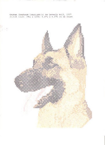 German shepherd counted - german, cross