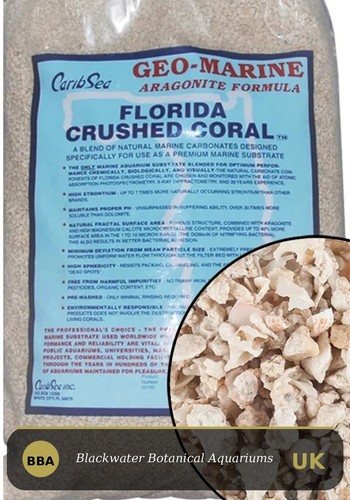 Crushed coral free mesh - crushed,
