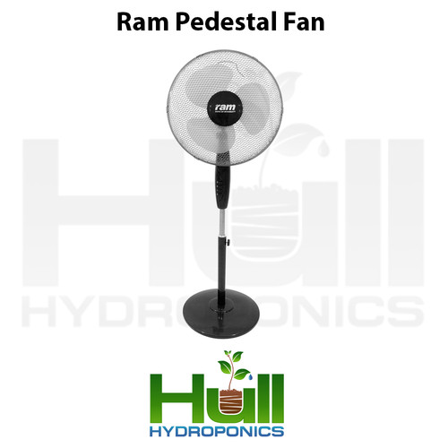 Ram floor standing pedestal - floor,