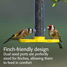 Pre-Filled Niger Bird Feeders