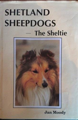 Shetland sheepdogs sheltie - sheepdogs:,