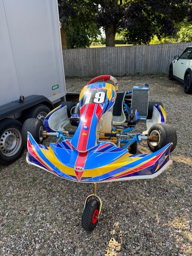 125 rotax max pre evo - evo, kart