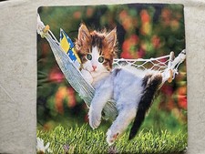 Cute Cat Cushion Cover 41x41cm