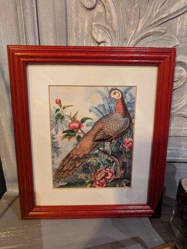 Antique tropical pheasant - tropical,