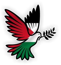 Beautiful Peace Dove of Peace