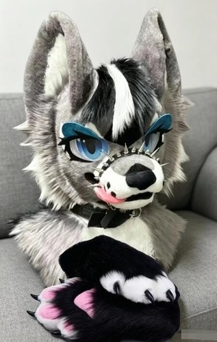 Fursuit long haired - long, dog