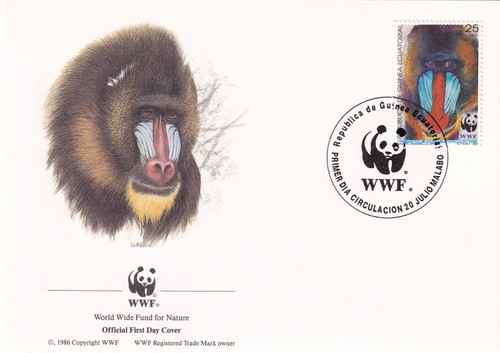 Mandrill wwf equatorial - wwf, guinea