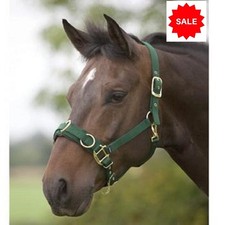 SHIRES LUNGE CAVESSON  COMFORT