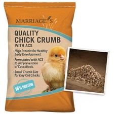 Marriage's Quality Chick
