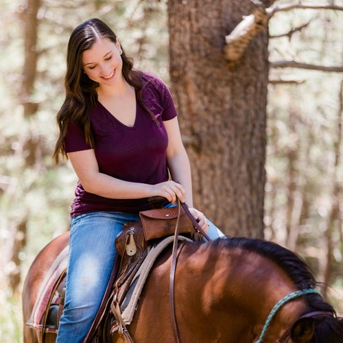 Custom horse saddle bag - horse,