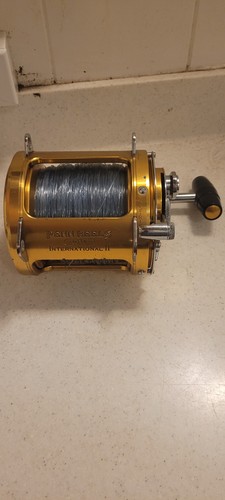 Penn reels international - penn,