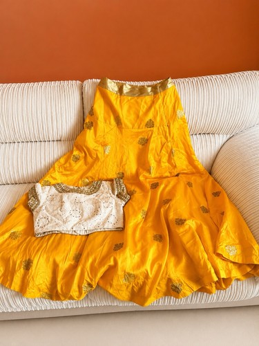 Lehenga skirt and blouse - lehenga,
