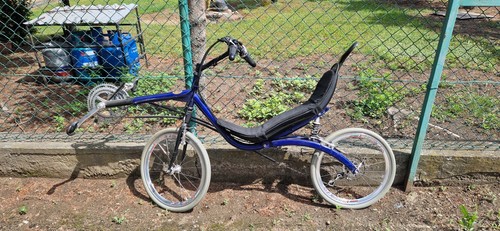 Recumbent bike full - bike, sus