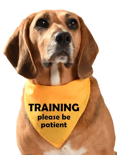 Training please patient - please,