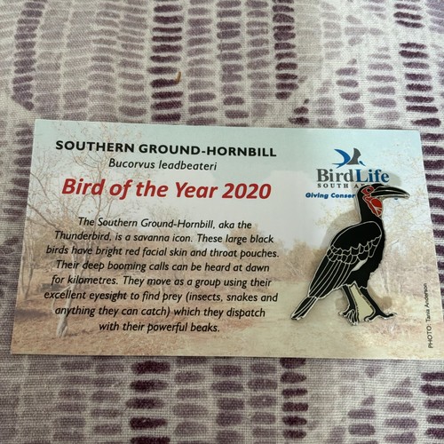 Not rspb birdlife - not, africa