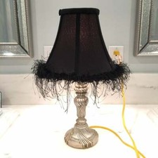 Black FEATHER SHADE