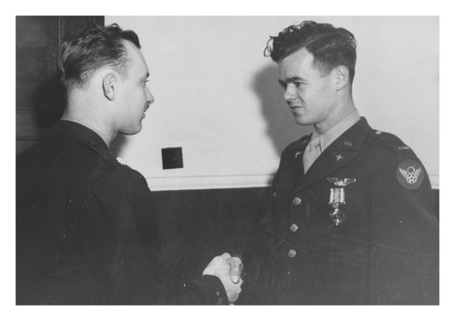 Distinguished flying cross - distinguished,