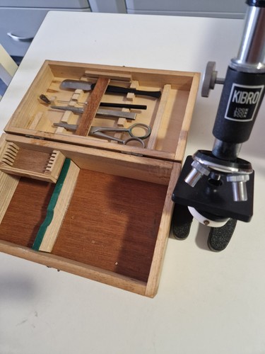 Vintage kibro student - vintage,